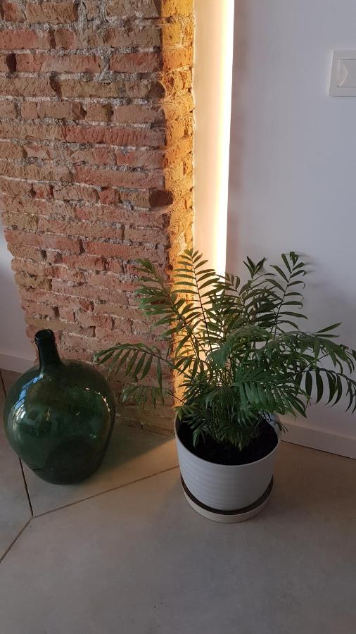 Loft Mariola - Apartamento En El Centro Historico Бокарент Екстериор снимка